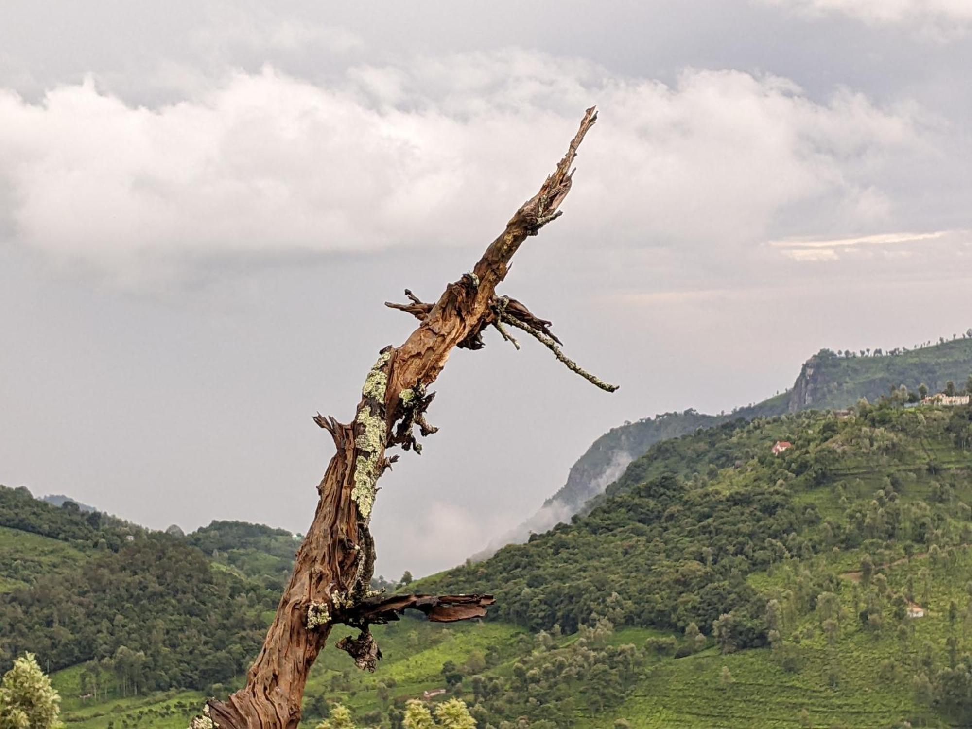 Moksha Infinity Valley Kotagiri Zewnętrze zdjęcie
