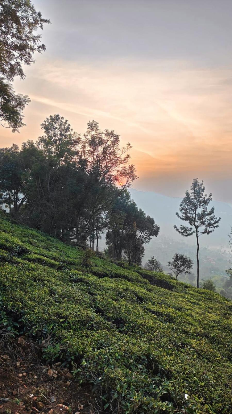 Moksha Infinity Valley Kotagiri Zewnętrze zdjęcie